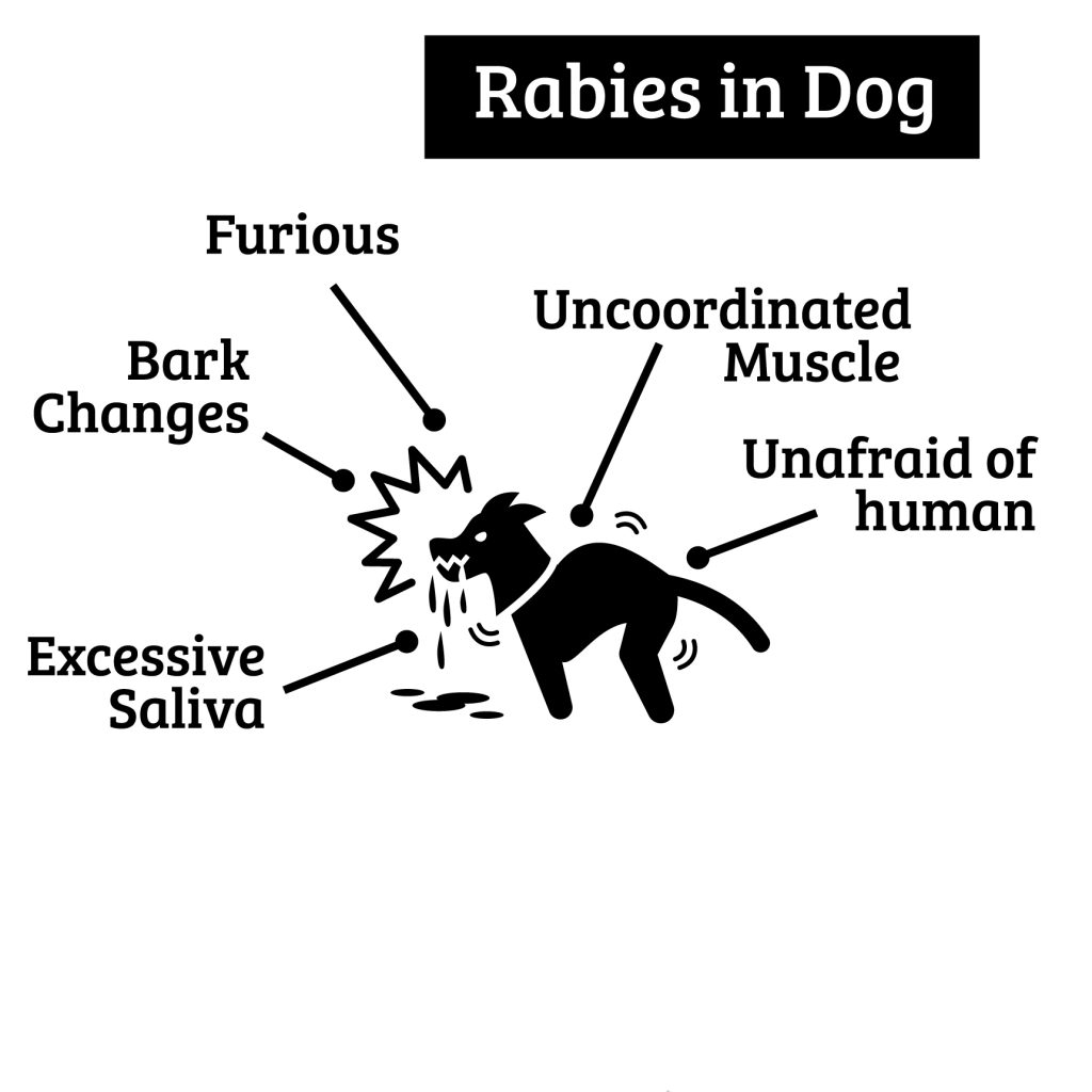 afbeelding Rabiës in Frankrijk