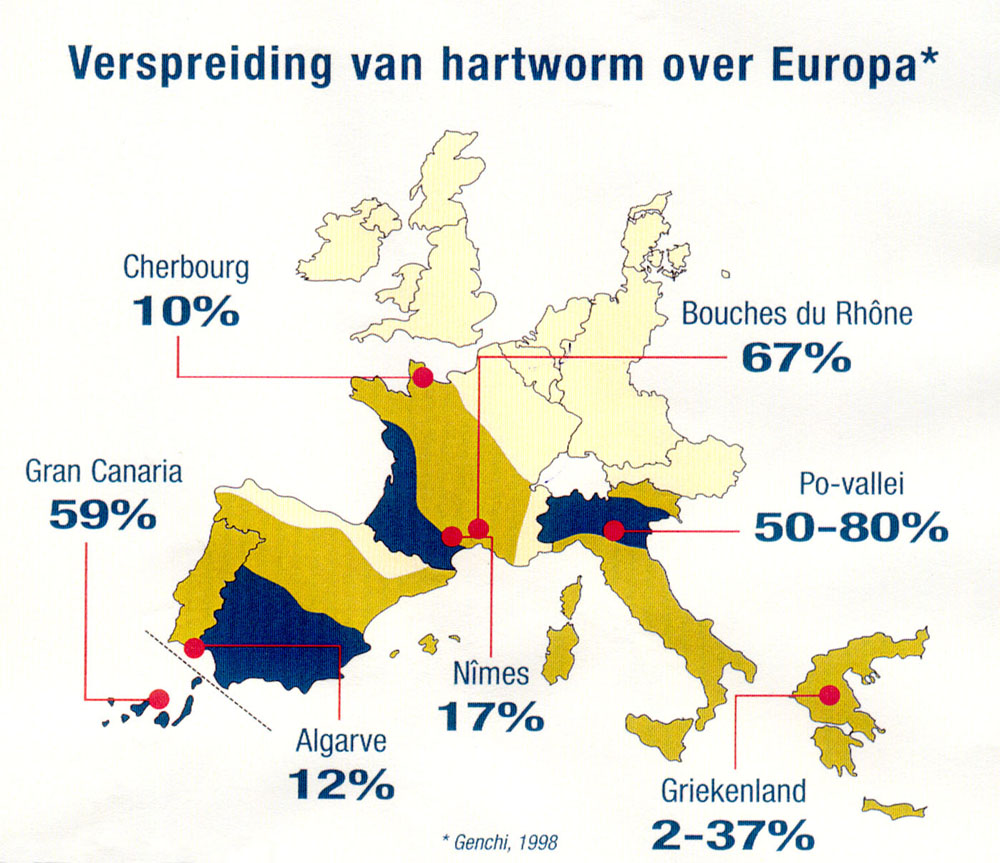 afbeelding Hartwormziekte