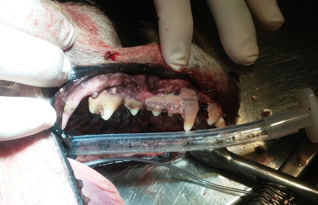 In dit geval zowel boven als onder een slecht gebit.