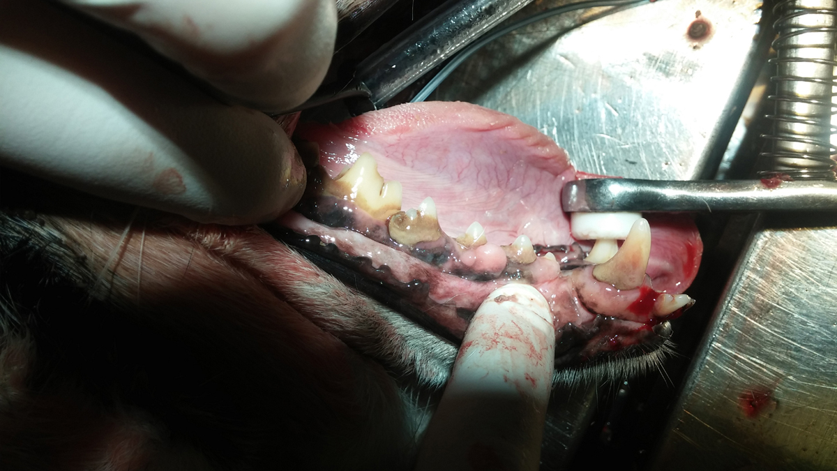 hero afbeelding blog