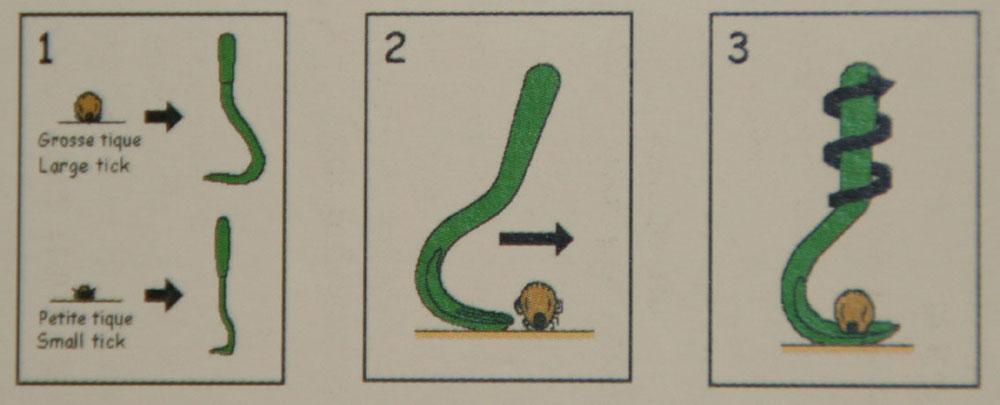 Het losdraaien van de teek met het tekenhaakje.