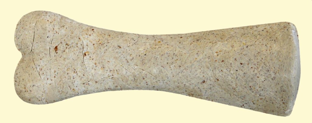 afbeelding Februari 2015 Gebitsmaand