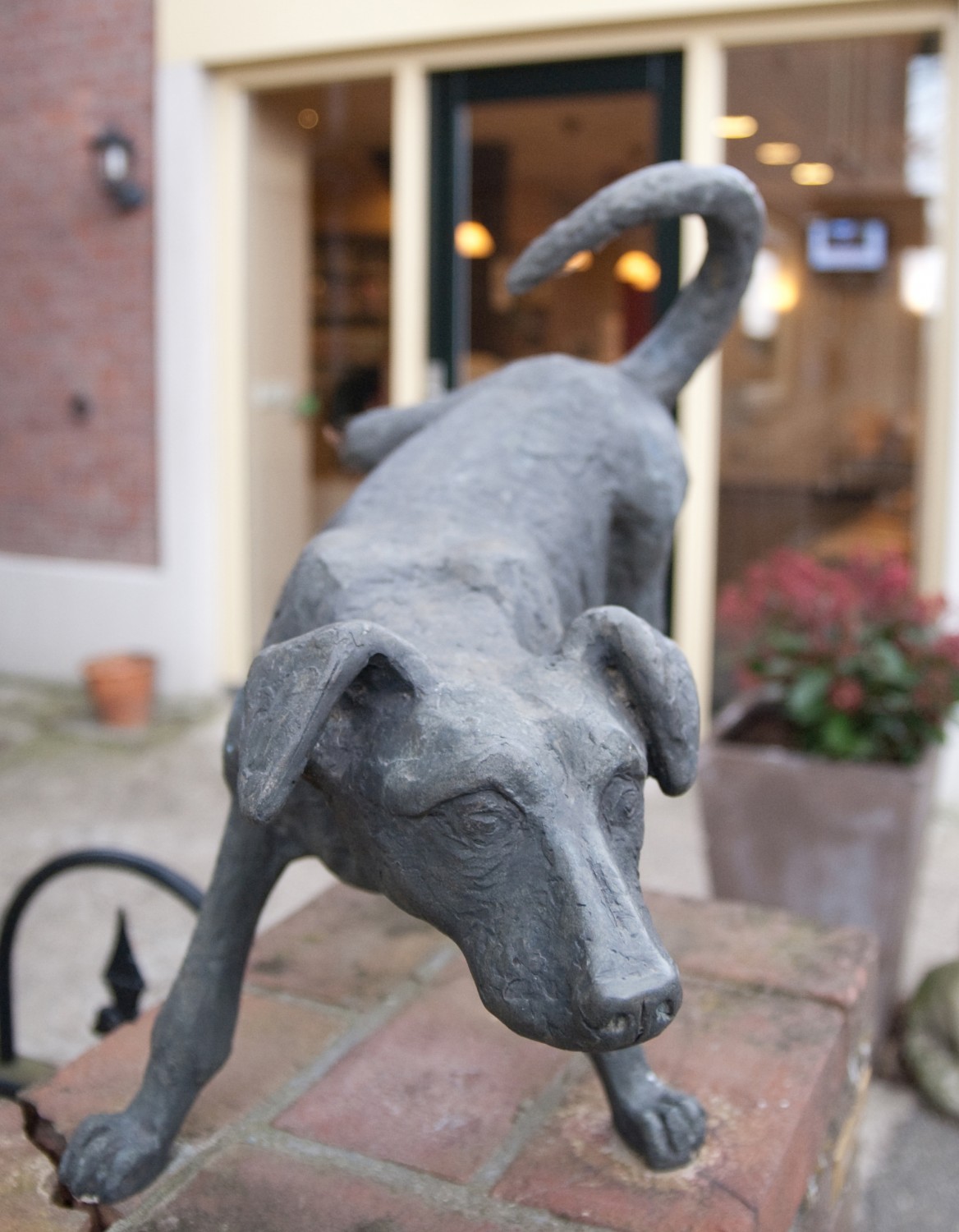 hero afbeelding blog