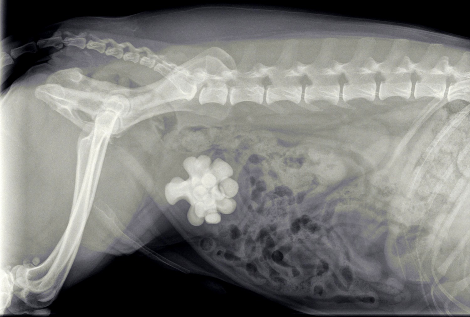 hero afbeelding blog