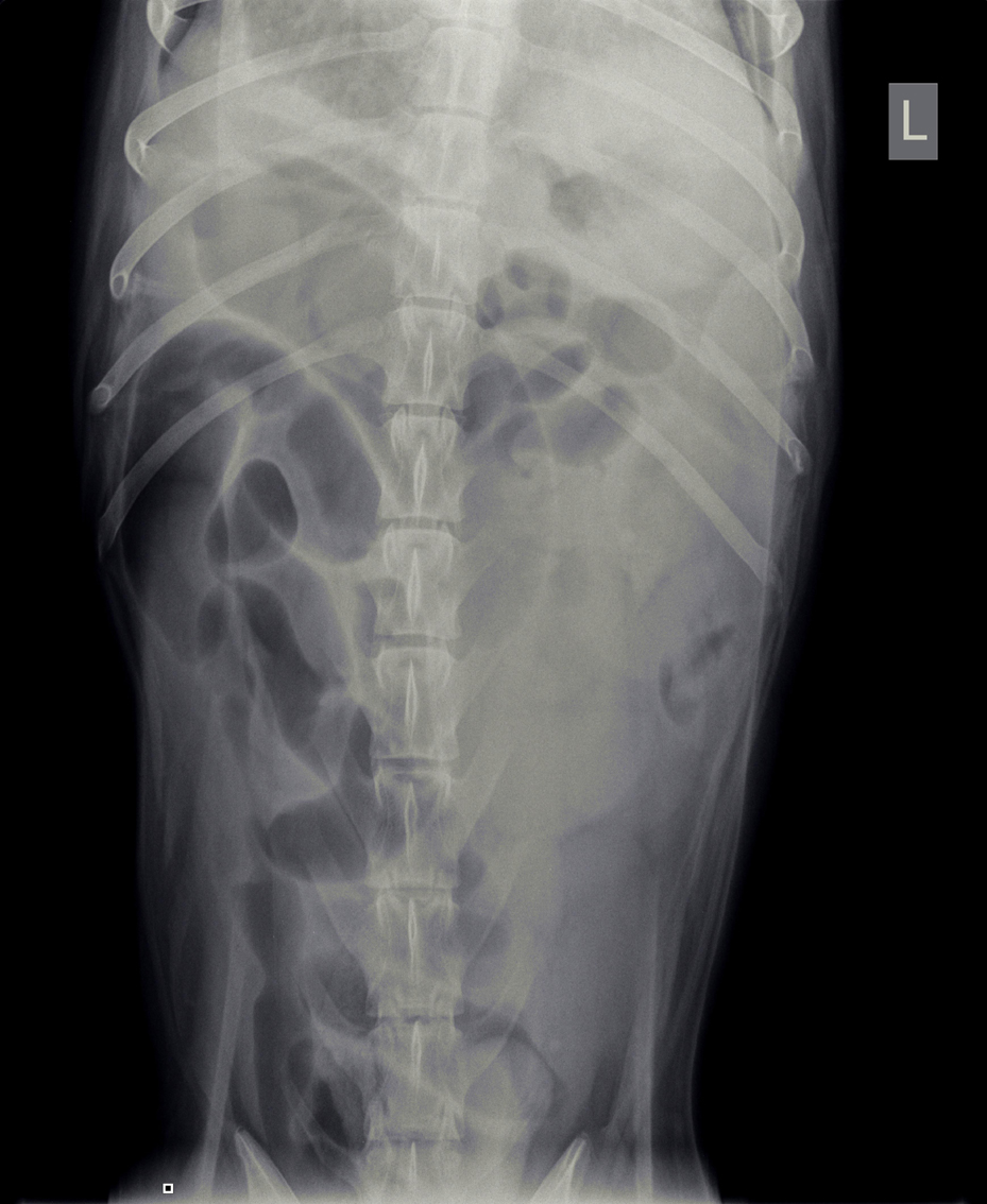 hero afbeelding blog