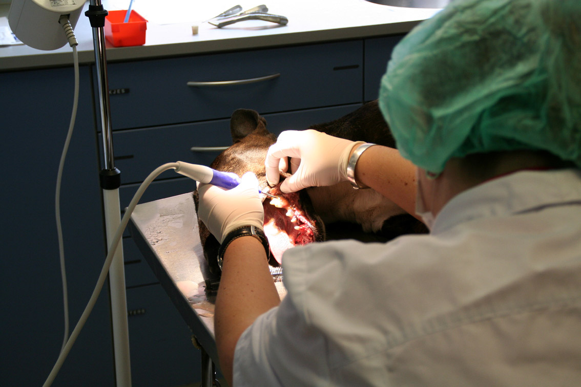 hero afbeelding blog