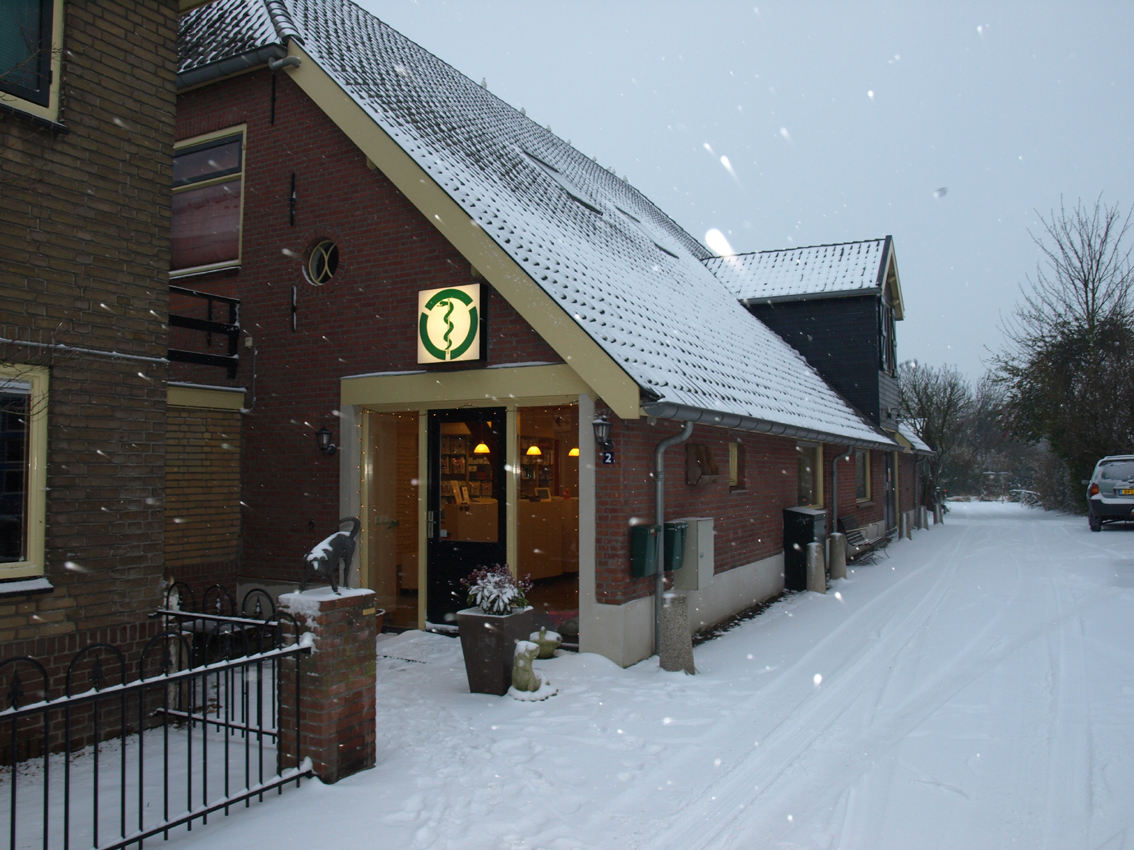 hero afbeelding blog