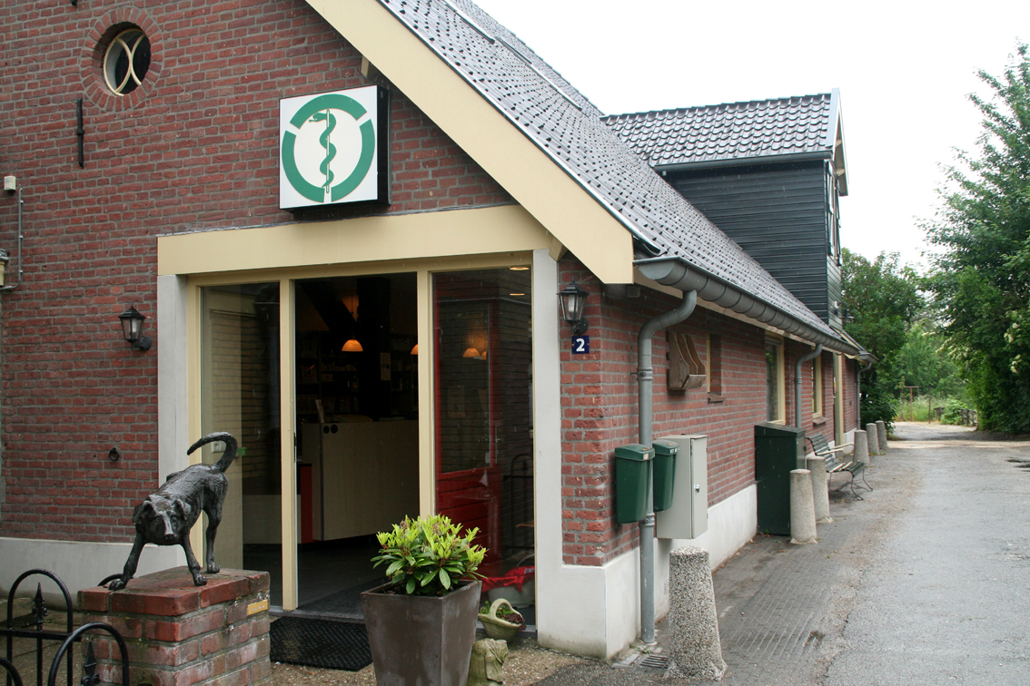 hero afbeelding blog