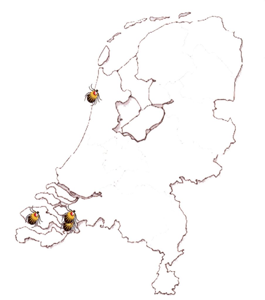 afbeelding Gevaarlijke teken in Nederland?