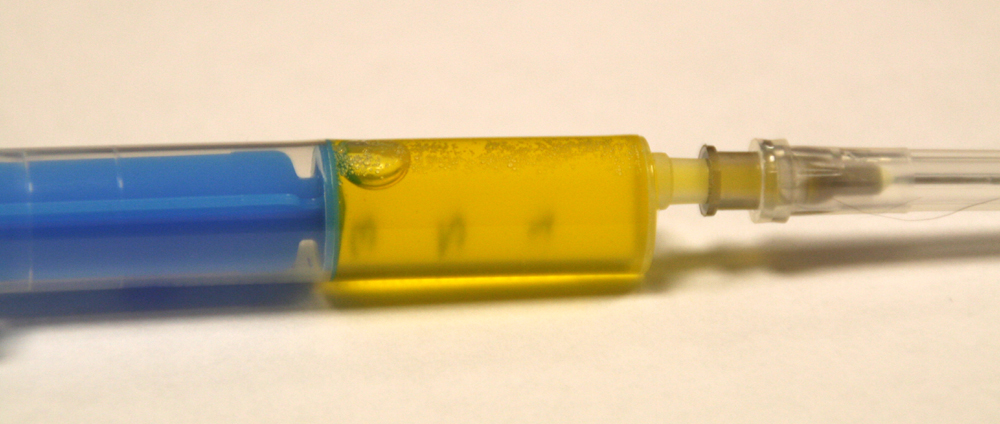 afbeelding FIP / Feline Infectieuze Peritonitis