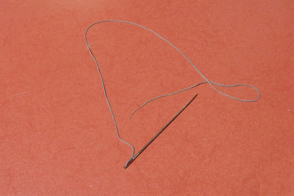 Dierenkliniek Tiel-Drumpt: De naald die in de bek van Bambino, een kat uit Maurik, zat.