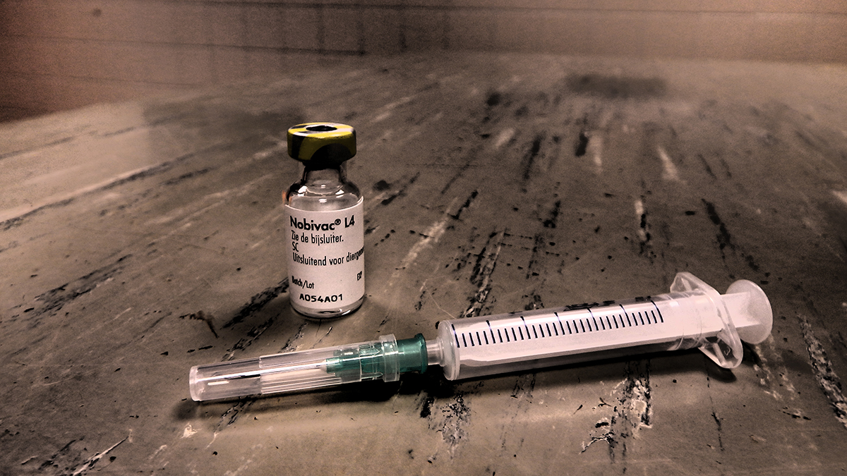 hero afbeelding blog