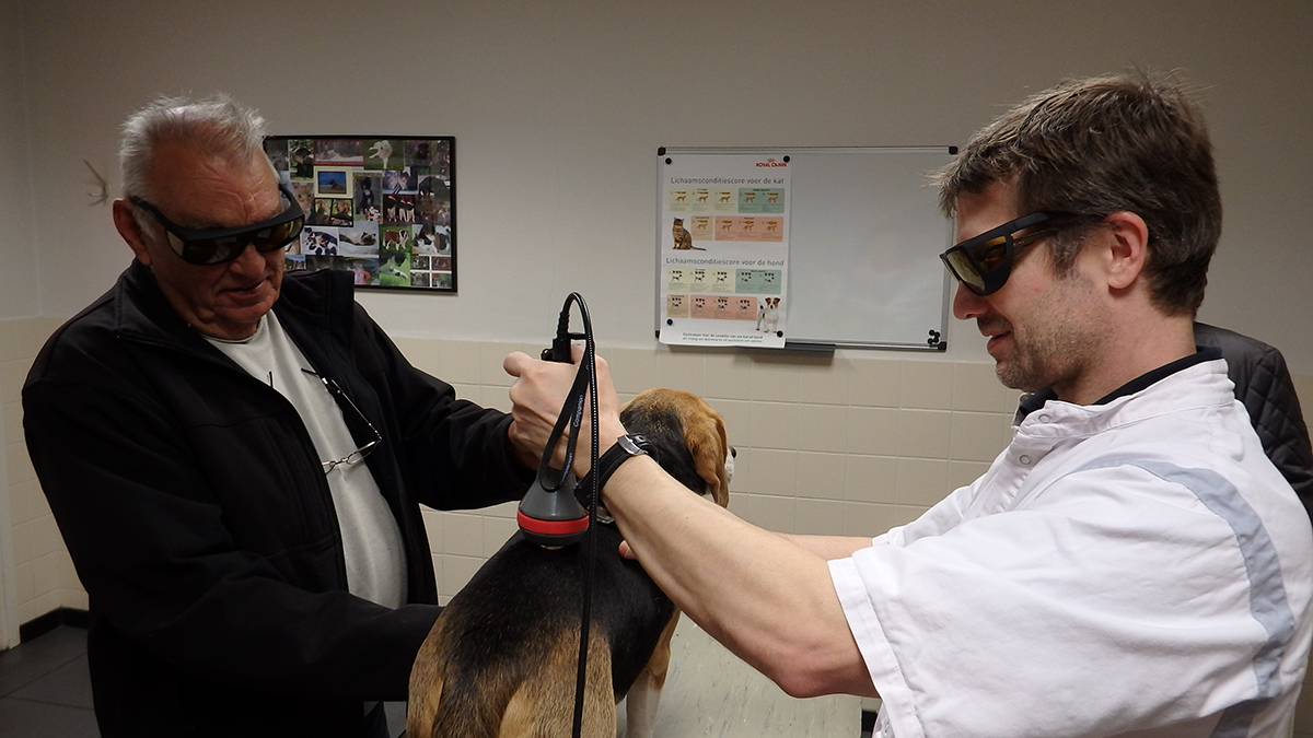 hero afbeelding diagnostiek