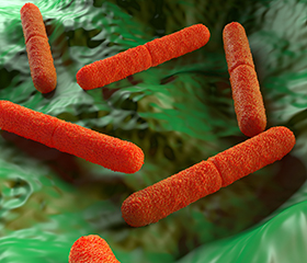 afbeelding Botulisme