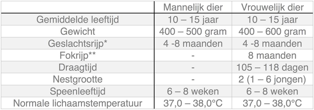 Dierenkliniek Tiel-Drumpt: In deze tabel kunt u algemene informatie terugvinden over de chinchilla.