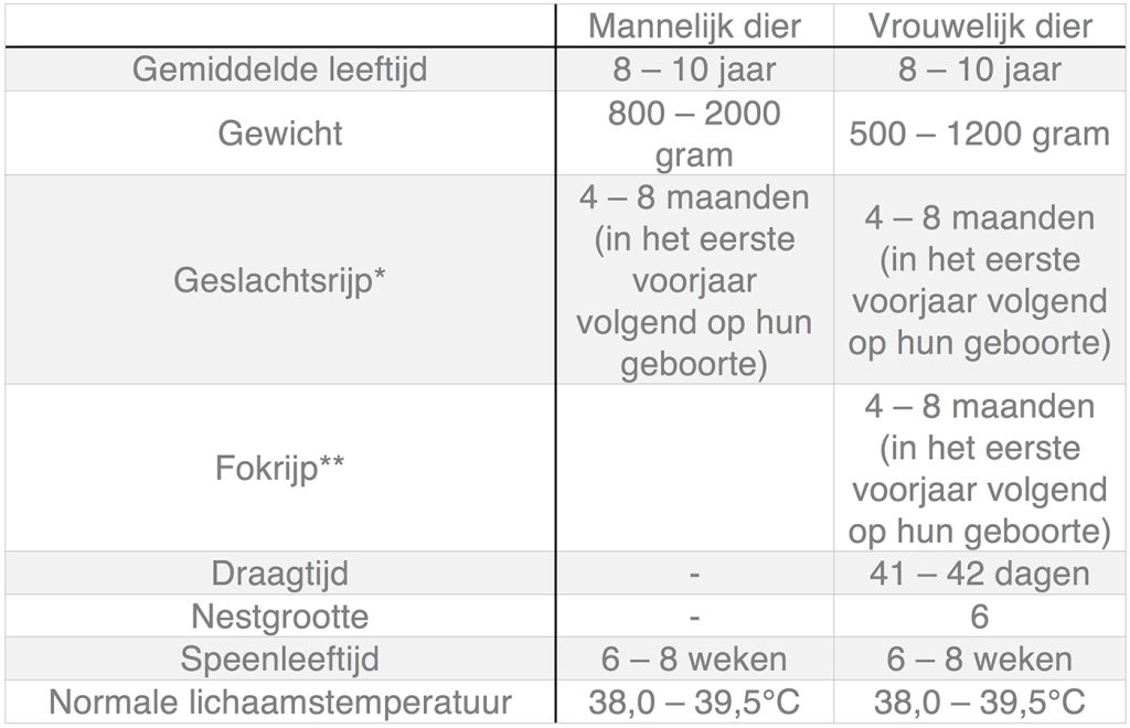 Dierenkliniek Tiel-Drumpt: In deze tabel kunt u algemene informatie terugvinden over de fret.