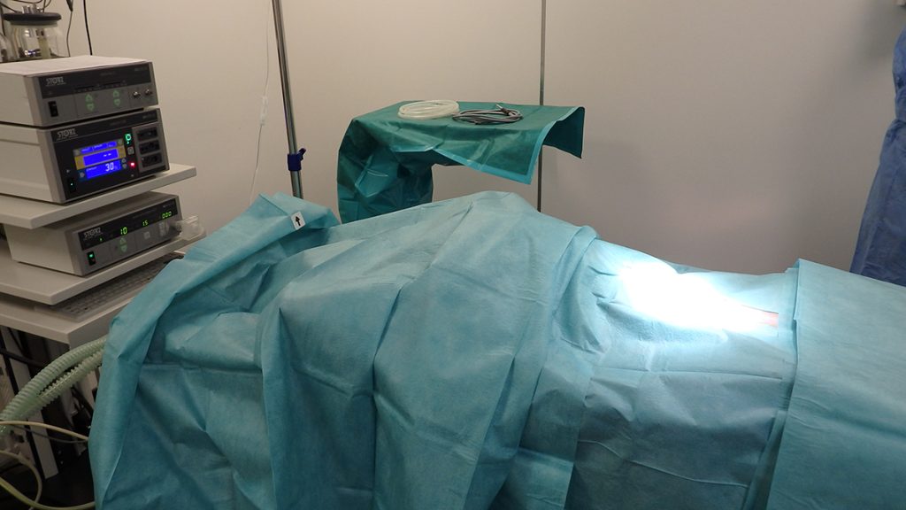 Dierenkliniek Tiel-Drumpt: Laparoscopische sterilisatie bij de hond: Wij hechten grote waarde aan steriliteit. Dus de patiënt wordt geheel afgedekt. De tafels waar het instrumentarium op ligt zijn geheel steriel afgedekt. De dierenarts en de assistente zijn omgekleed in steriele jassen over hun operatiekleding heen.