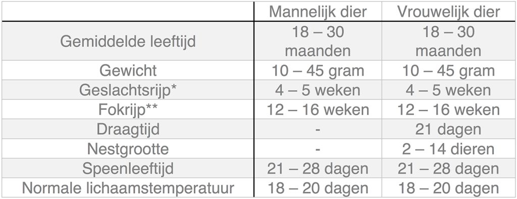 Dierenkliniek Tiel-Drumpt: In deze tabel kunt u algemene informatie terugvinden over de muis.
