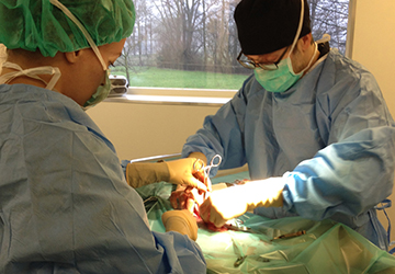 afbeelding Behandelingen