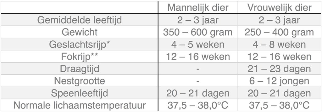 Dierenkliniek Tiel-Drumpt: In deze tabel kunt u algemene informatie terugvinden over de rat.