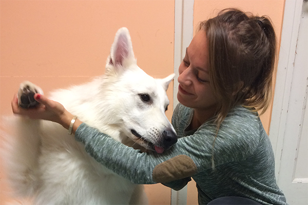 afbeelding Dierenarts Irene de Heer, onze versterking uit Culemborg