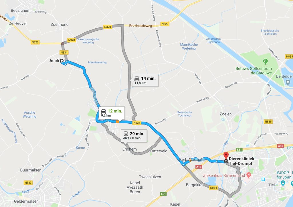 Dierenkliniek Tiel-Drumpt: Hoe kom je van Asch bij je dierenarts?