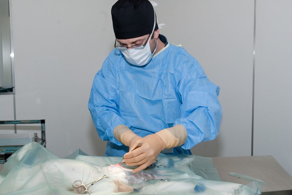 Dierenkliniek Tiel-Drumpt: Dierenarts voor Asch: Wij hechten veel waarde aan steriliteit tijdens operaties.