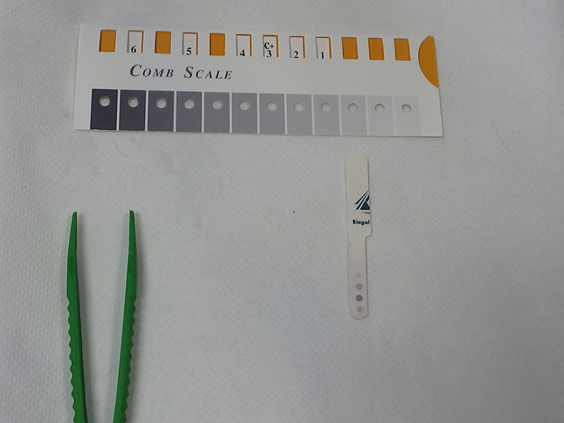 Dierenkliniek Tiel-Drumpt: Dierenarts voor Wamel: Enten is belangrijk, met of zonder titreer begeleiding.