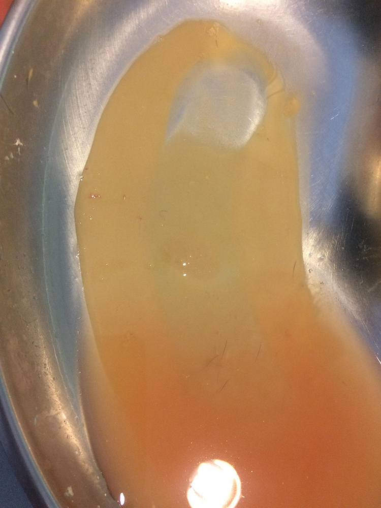 Dierenkliniek Tiel-Drumpt: Blaasgruis (Blaaszand) en blaasstenen bij het konijn