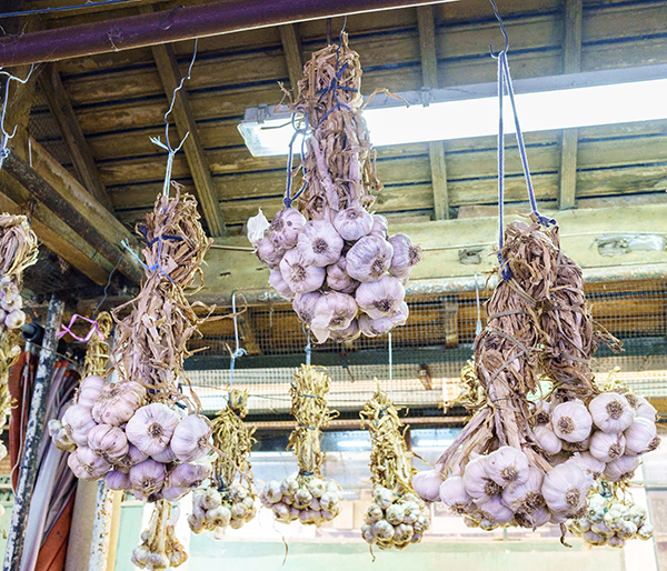 afbeelding Knoflookvergiftiging