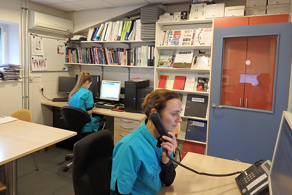 afbeelding Een verbetering in de service bij het telefonische spreekuur door de dierenarts