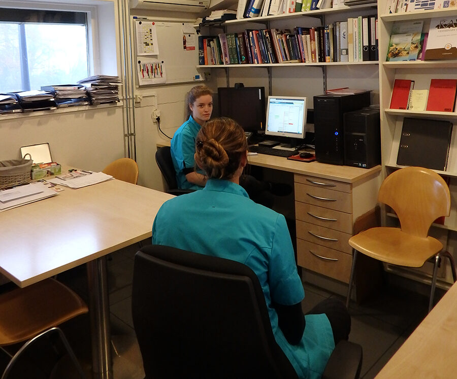 Dierenkliniek Tiel-Drumpt: Tijdens het telefonische spreekuur kunnen de dierenartsen ook onderling nog overleggen.