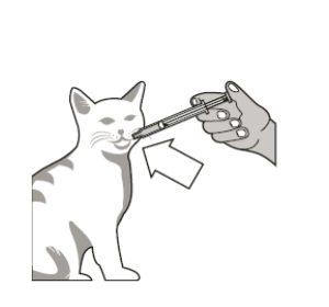 Dierenkliniek Tiel-Drumpt: Semintra 10mg/ml of Semintra 4 mg/ml ingeven