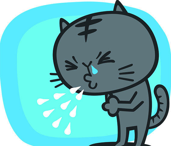 afbeelding Bordetella