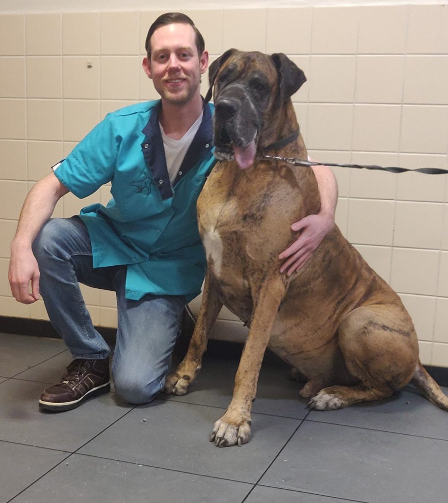 Dierenkliniek Tiel-Drumpt: De stage van Alex, toekomstig dierenarts, Alex met Joop de Duitse Dog