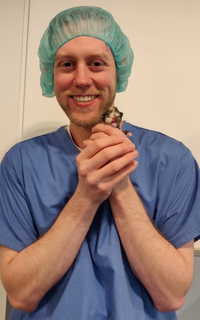 Dierenkliniek Tiel-Drumpt: De stage van Alex, toekomstig dierenarts, Alex met het kitten wat net via een keizersnede is geboren.