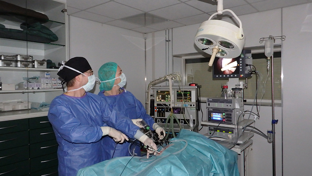 Dierenkliniek Tiel-Drumpt: Mijn huisdier laten opereren, maar bij welke dierenarts? Alles wordt keurig steriel gedaan.