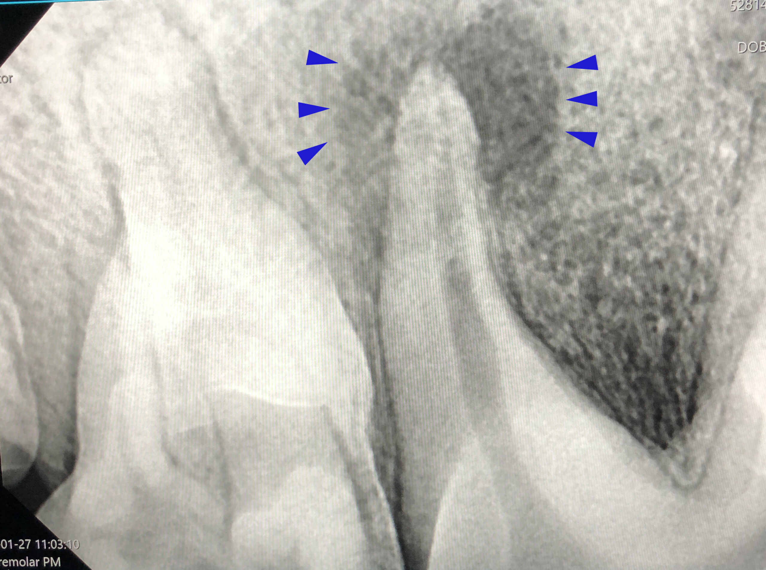 hero afbeelding diagnostiek
