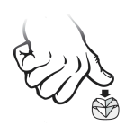 Dierenkliniek Tiel-Drumpt: Deelbare smarttab