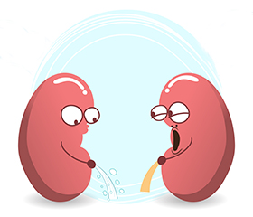 afbeelding Nierprobleem