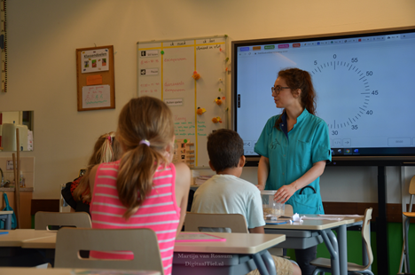 Dierenkliniek Tiel-Drumpt: Kuikentjes: Dierenarts Sanne beantwoord de vragen.