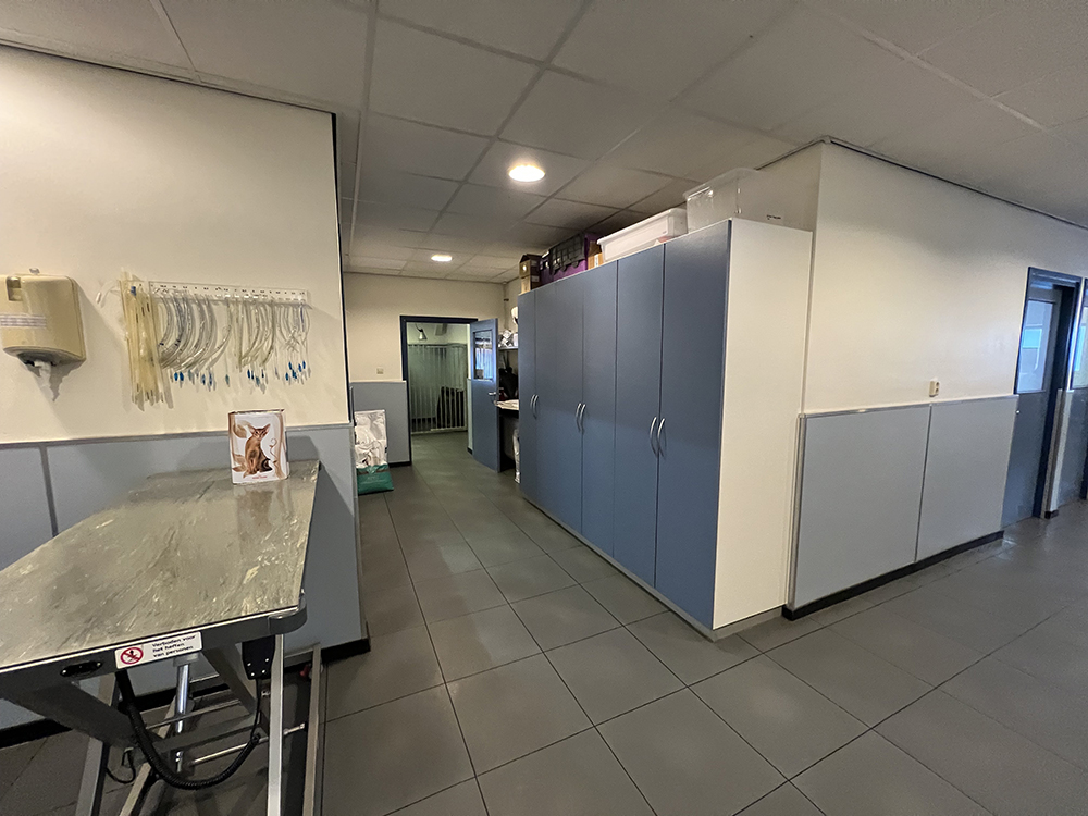 Dierenkliniek Tiel-Drumpt gaat verbouwen: Onze gang zoals het er nu uitziet.