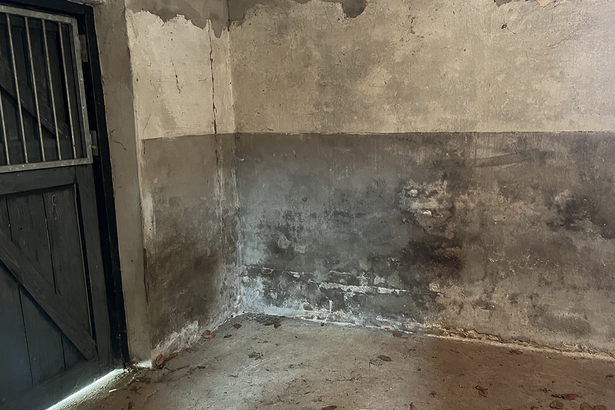 hero afbeelding blog