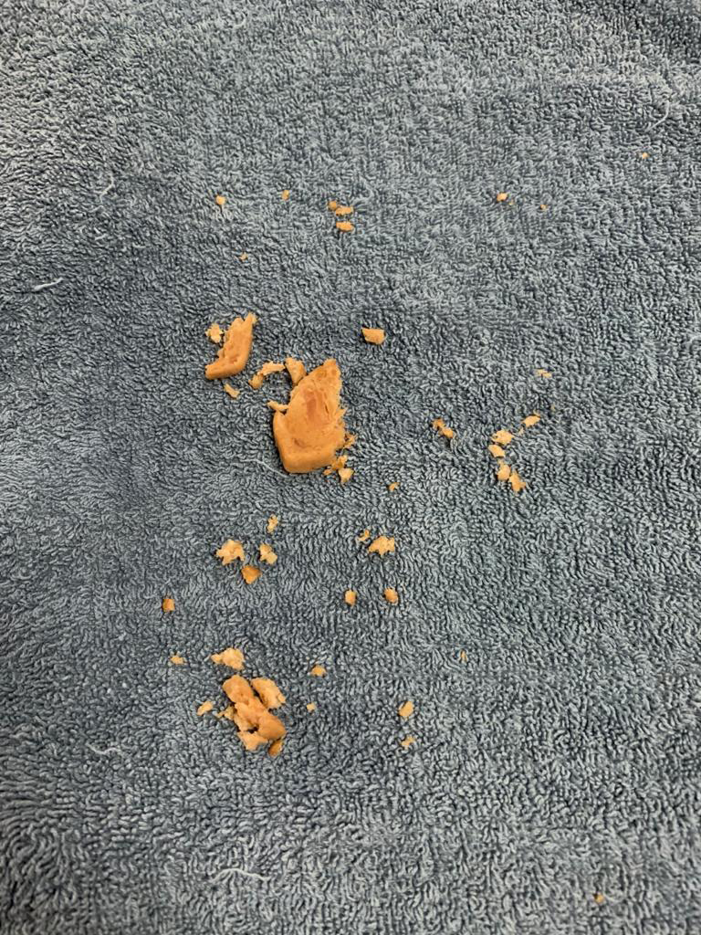 Dierenkliniek Tiel-Drumpt: Grumpy had wat in de slokdarm klemzitten: De verwijderde stukjes