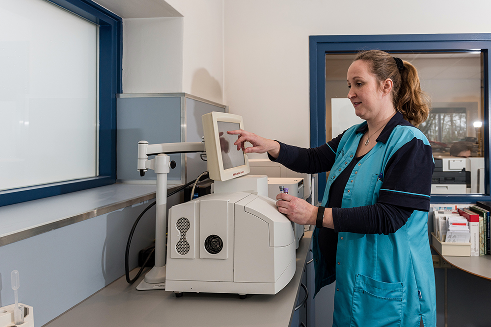 Dierenkliniek Tiel-Drumpt: bloedonderzoek, bloed inzetten