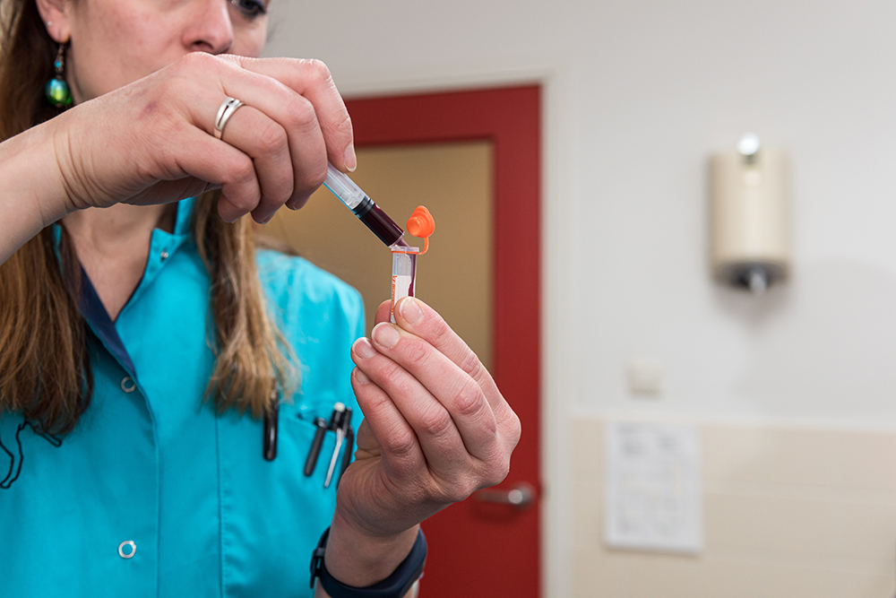 Dierenkliniek Tiel-Drumpt: Bloedonderzoek