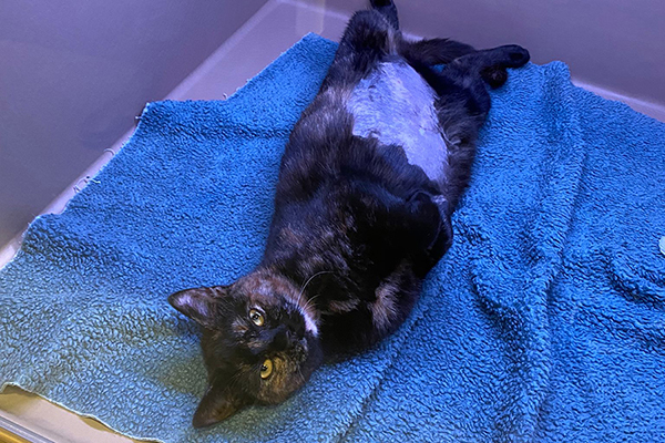 afbeelding 7 maanden in de verbouwing: oplossingen en vertraging