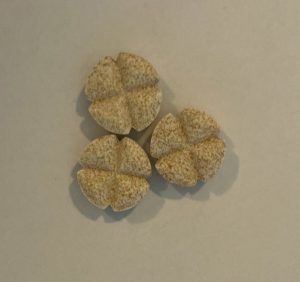 Dierenkliniek Tiel-Drumpt: Bijsluiter Cardisure