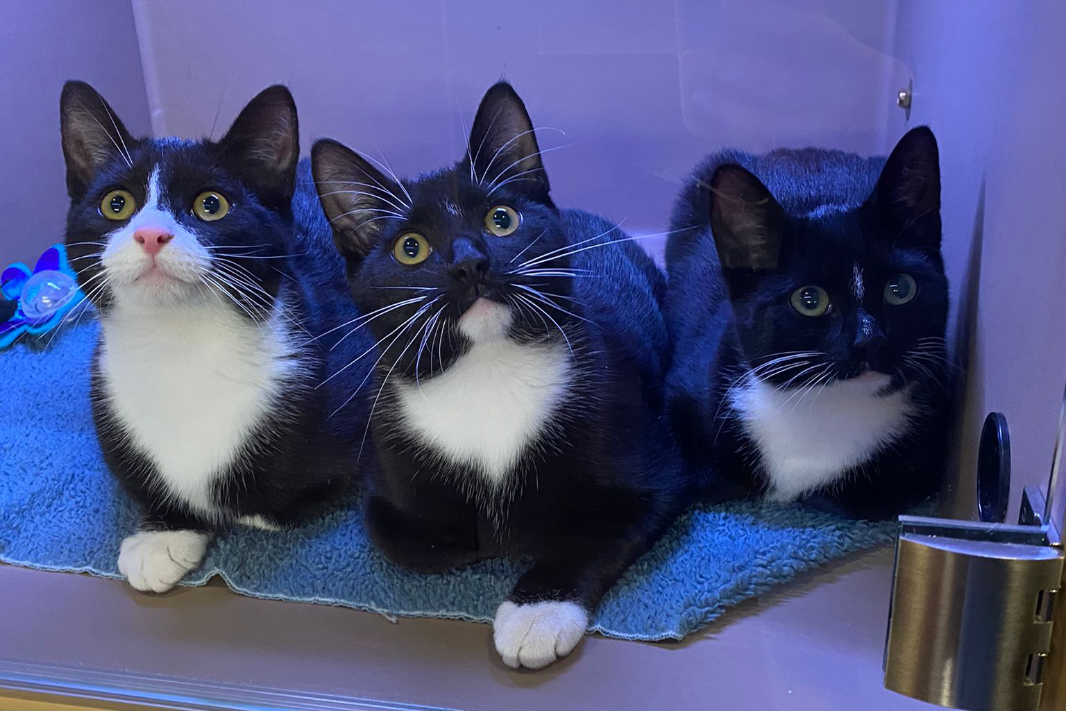 hero afbeelding blog