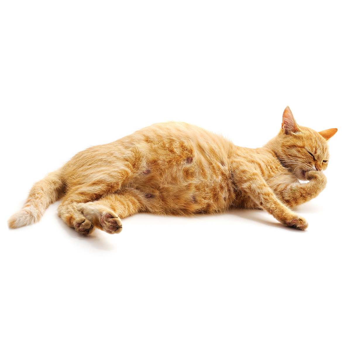 hero afbeelding diagnostiek